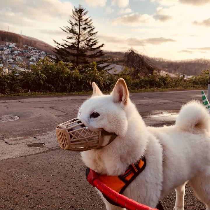 8de24092 3292 4b5b 89a9 a19d4483c8c6 1649883868306