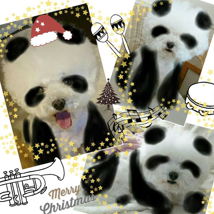 8de27ccc 5b4a 44be be2e af428cdd0fcf 1513411055455