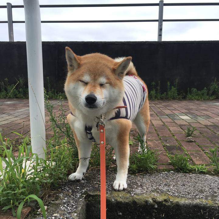 8de28436 147e 49ae 85fa 32817525c454 1562546862003