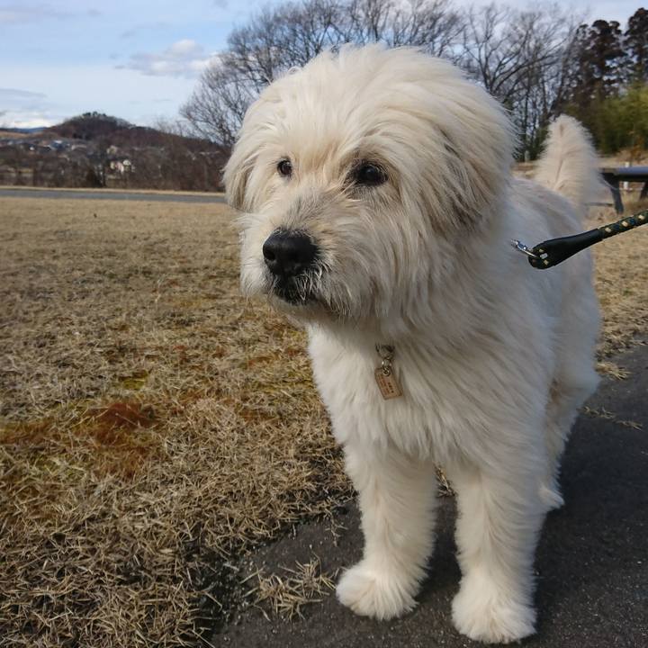 8de2d0a2 e23c 4448 964f 858925138db3 1583225210889