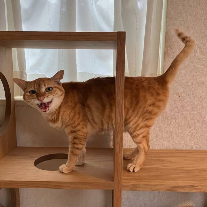 8de33561 420b 4e2d b5d3 14354ef9a1cd 1774567889825