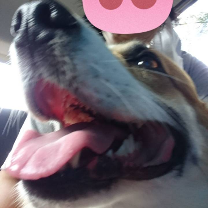 8de33d3e 3e67 4aec af3a e2362491e526 1633394540271