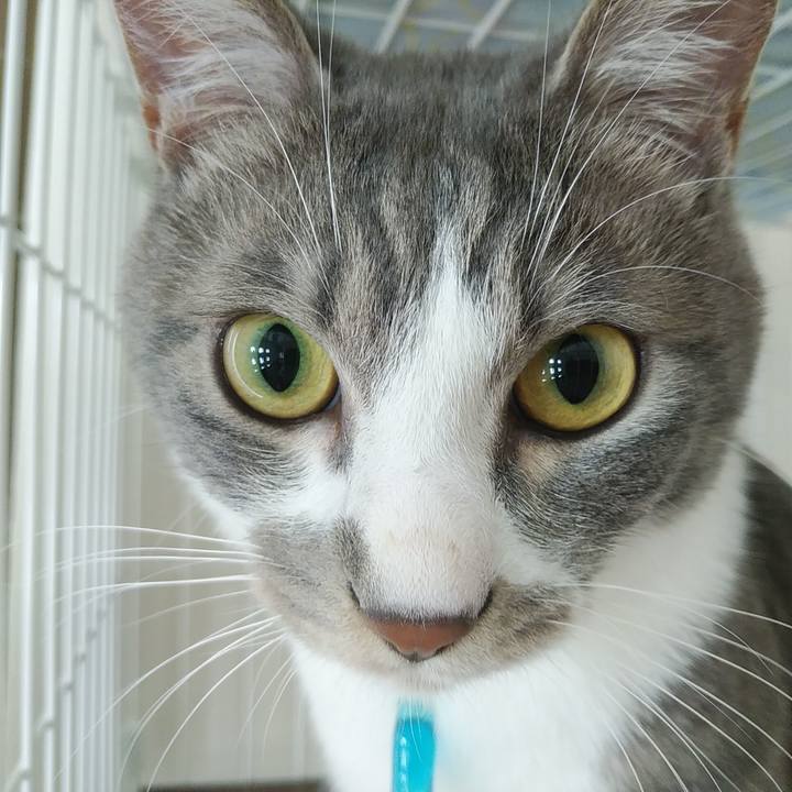 8de34b7b 435e 4c60 b05c 0ceefcc714b2 1589067211232