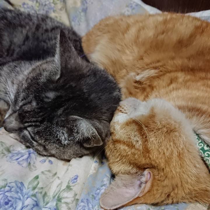 8de34c83 9c15 40bd 8926 806f012c5701 1583496637887