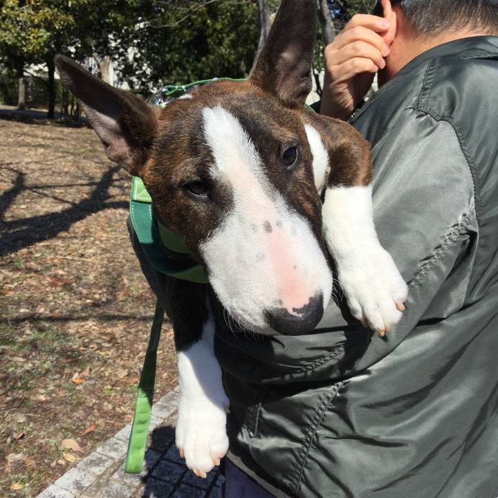 8de3a7dd 4544 43ac b0ee a29d6467c333 1552117081476