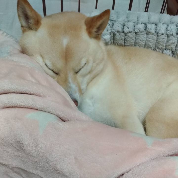 8de3cbc0 dbf7 407e 864e a5b5f05e8cbf 1580384072319