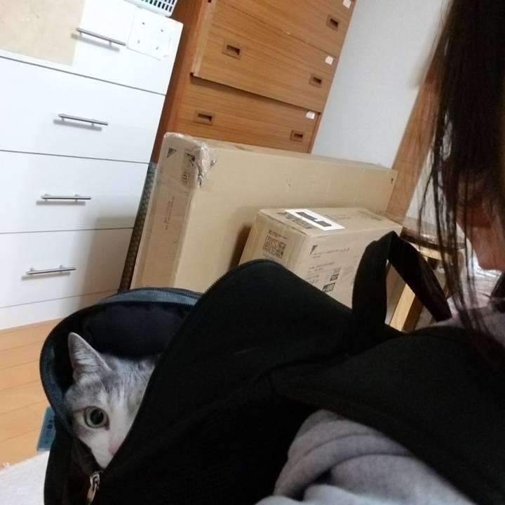 8de4003e dc1a 4c9a 94d3 64dcc863fe03 1615271660325