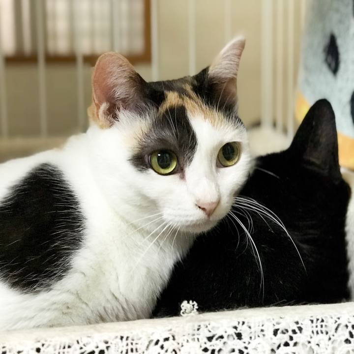 8de449e5 e08a 4dd4 9d44 5a8e06e17a02 1534643995260