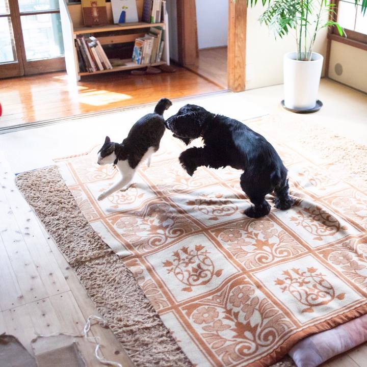 8de4a060 b245 4774 a58c 76aa96e856d3 1613282396823