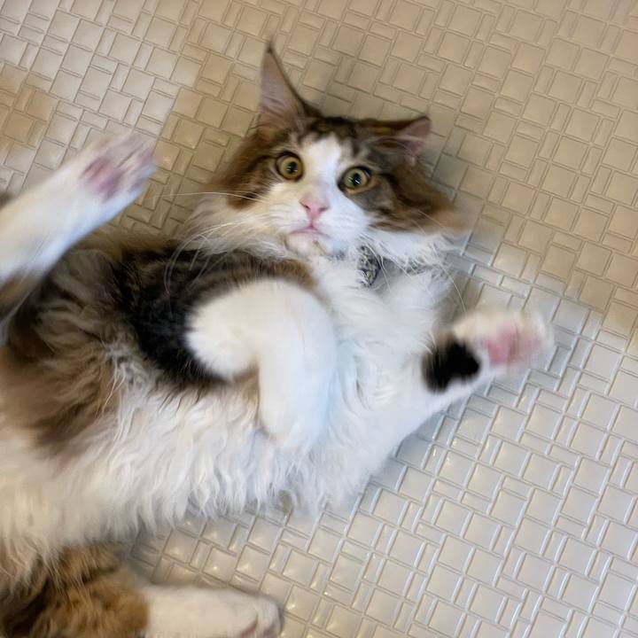 8de4a2ce 2d79 4c94 a160 0b816bc90872 1640034325372