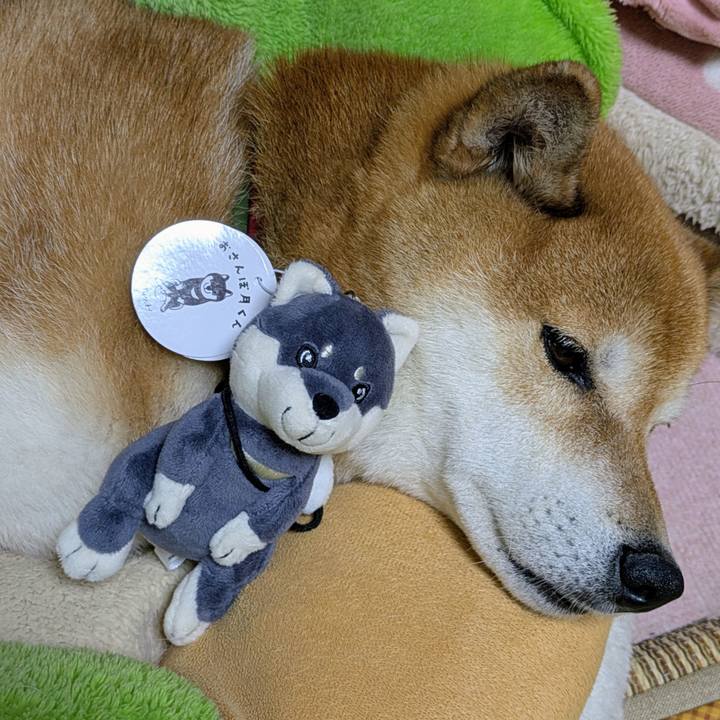 8de4ab30 a287 40fb 840b 094d37ae52d3 1754579337474