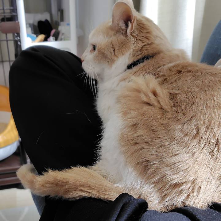 8de4b779 1a0c 419f a09c b31d29e39e81 1733917343169