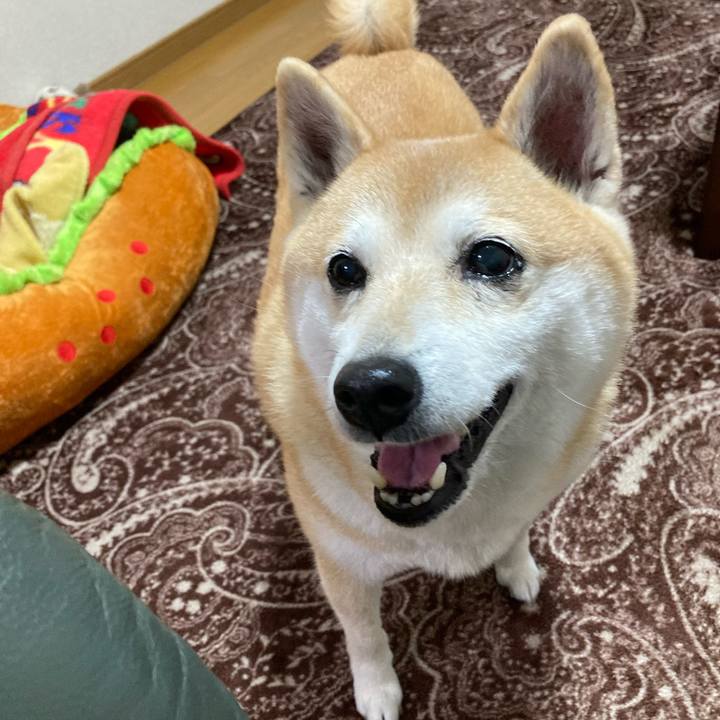 8de4bfb6 858f 4f63 9ea5 a5bfbedb26fe 1617021183503