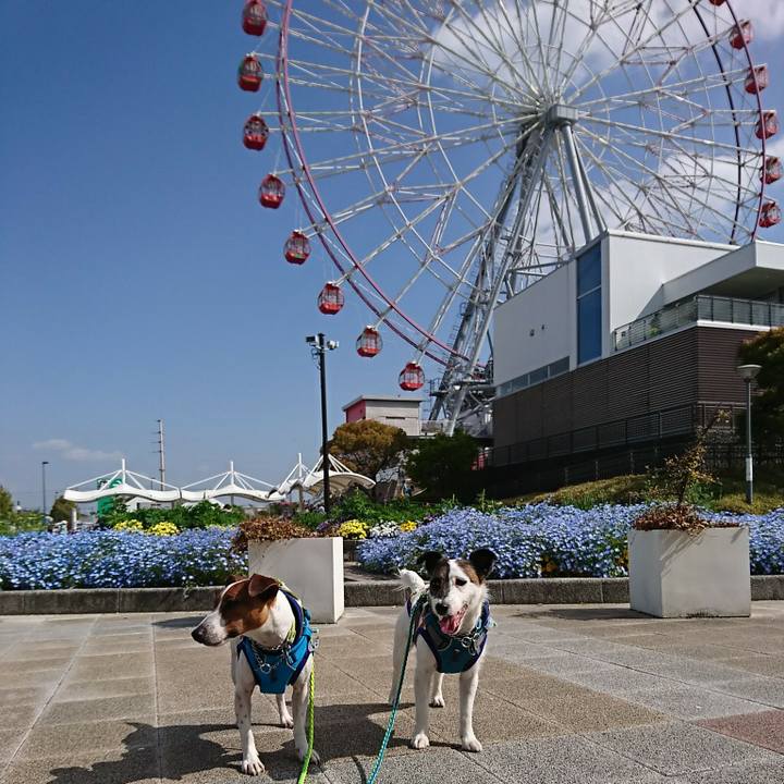 8de4c43d ac9c 4b8f a0c7 cff036f50145 1555739195440