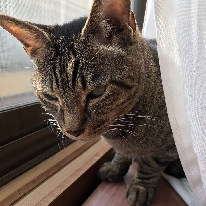 8de5049c 3529 4e05 aaea 2285316e5636 1517708628994