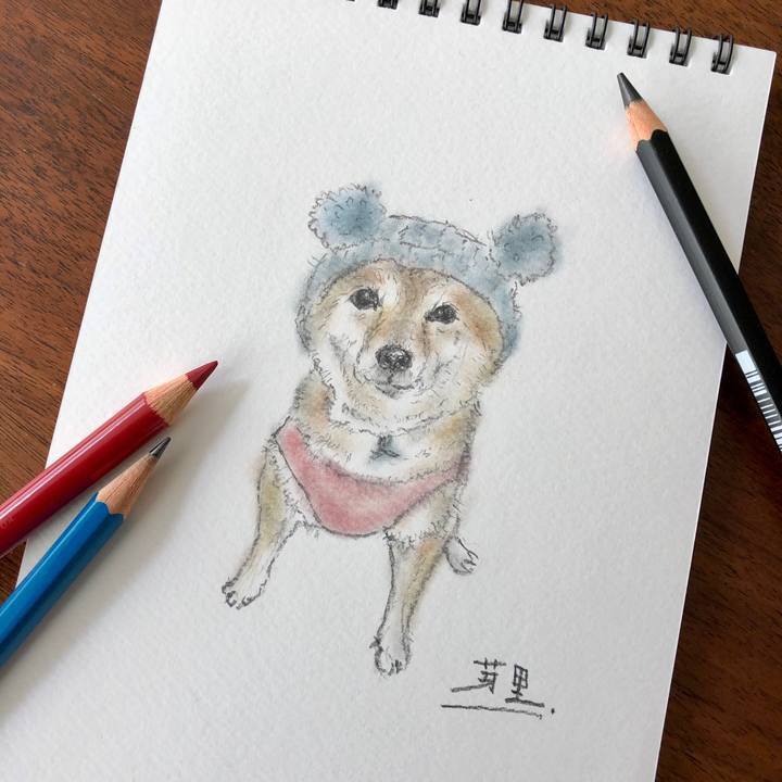 8de54ca2 a41d 4ee2 adac 685128f7edd8 1613343306643