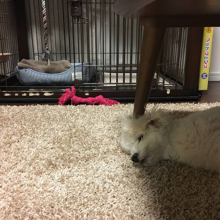 8de5b41e 0e88 4ad2 a433 2c0ae3b51878 1546089545461