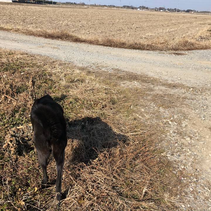 8de5e4eb 7145 4ab8 803f cc86ad61b311 1547627408242