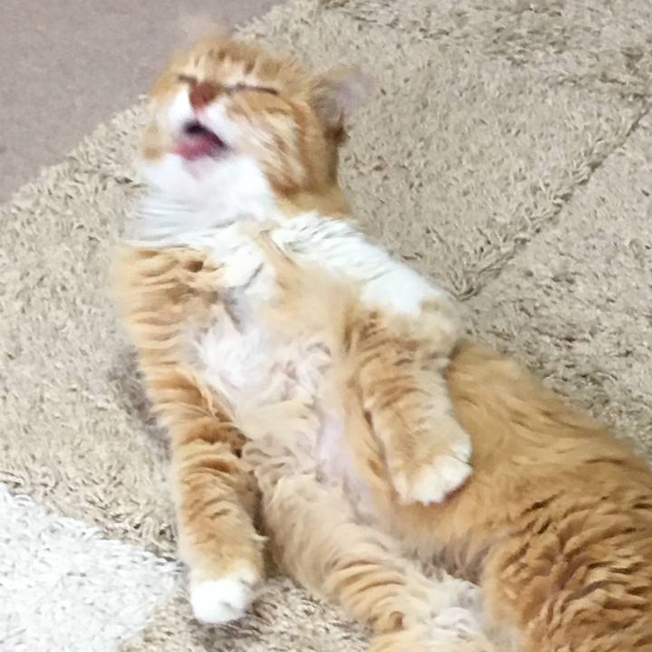 8de60913 b6b7 4f0e aa6e a4319b81ac7d 1509439119092