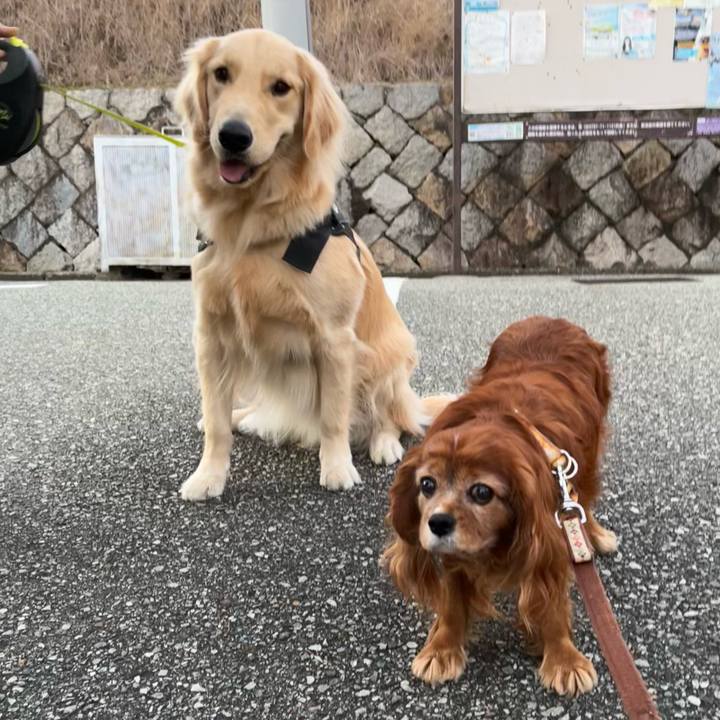 8de6249a bd37 42ce ae0c a80c80fa2ceb 1732959895966