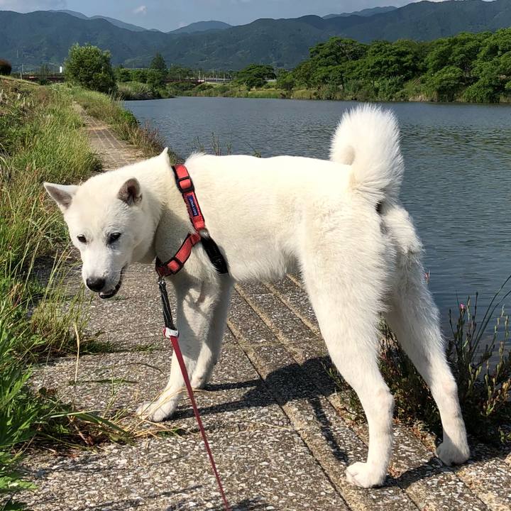 8de65189 5de8 49d8 90a9 16dd54233f5f 1527810892626