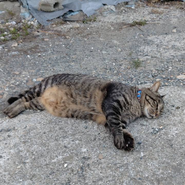 8de65e2c 3377 473b 86cc 8e63e7363922 1691575829679