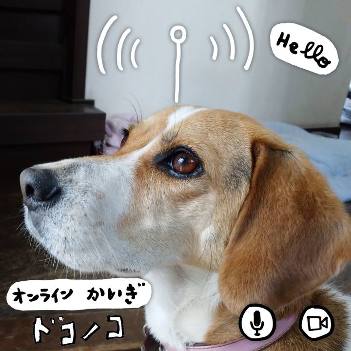 8de66d3f 333c 4f18 bff9 d3fe9cb196ad 1593579603453