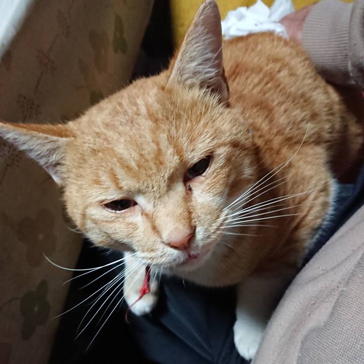 8de68208 2549 44c0 8de1 c7660cf33c36 1573679026727