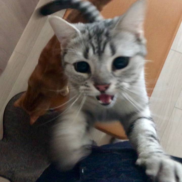 8de6cab1 5695 4a44 8dfb ed187f88540d 1519684740867