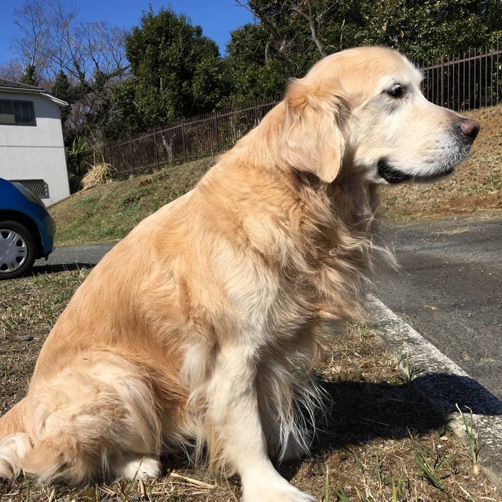 8de6de3d f013 40ed ad7b 93dd534e109d 1521249348152