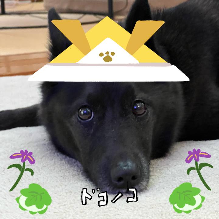 8de6f7cd 3312 4bca 9d8b 1f06cea90a6a 1715176188365