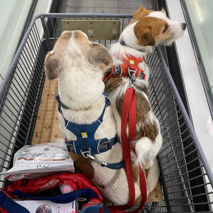 8de7049e 9f80 4283 98b4 0961d44c7d3f 1672296441010