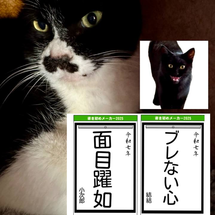 8de70517 2cbb 4de3 b2f4 1382bd0482d5 1735908502815