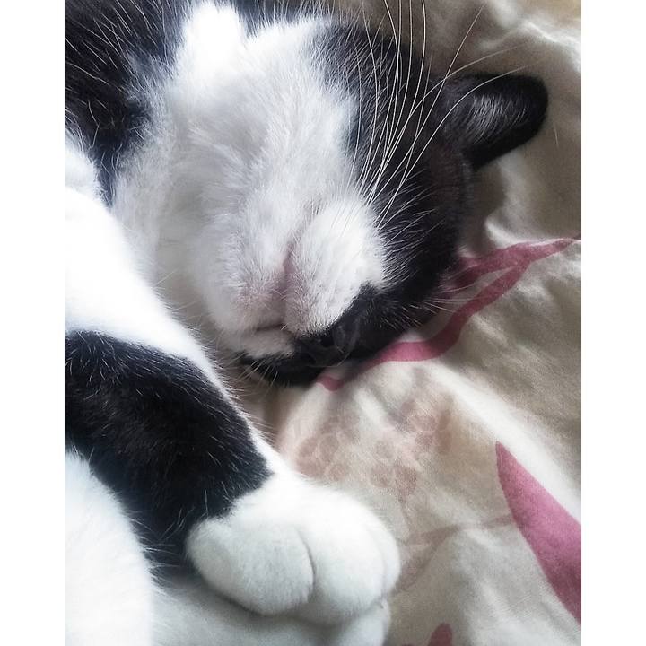 8de70721 fa6c 43ed b88a 2397d6f48e10 1631370631520