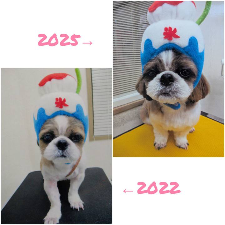 8de72f5c 0ff0 4318 8498 119191c31b21 1754992335510