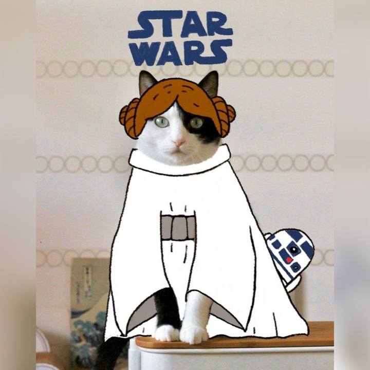 8de745eb 0cfc 4f7c b264 a0739937eb5a 1683183091156