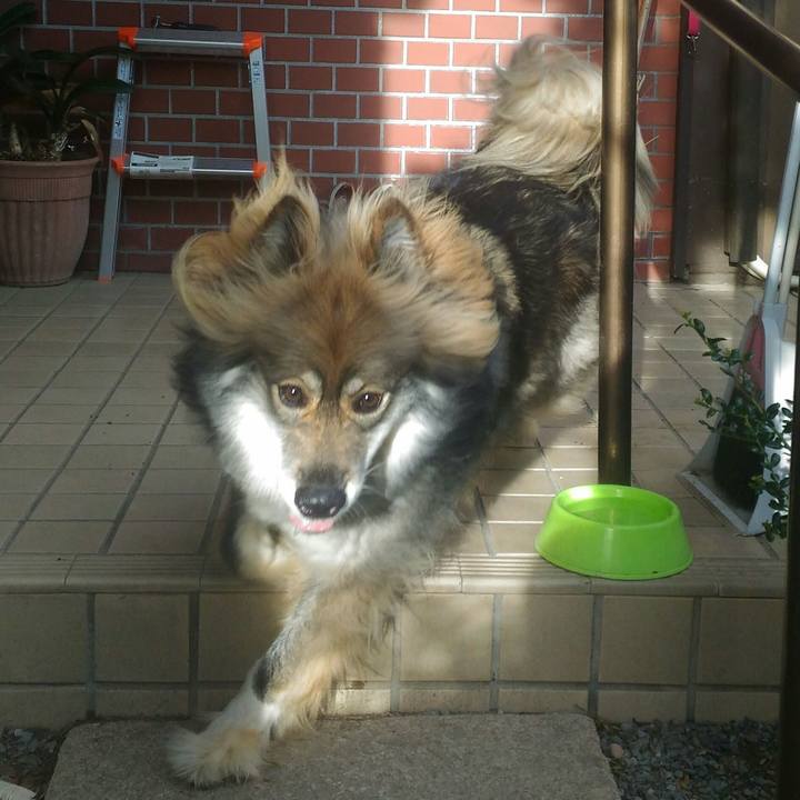 8de74742 3307 4d36 aecc 230cf1493f77 1530361216720