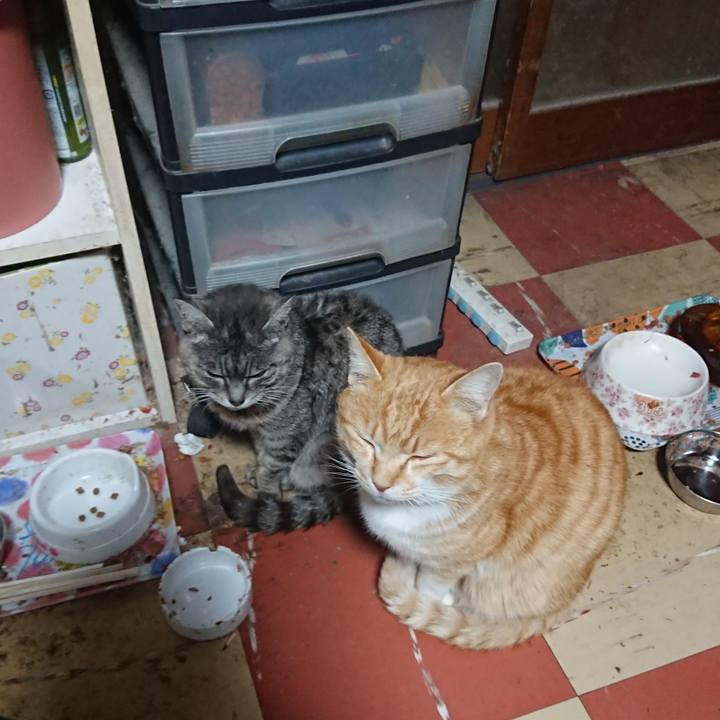 8de747f0 7881 410e 9227 069a46e87e35 1584043370134