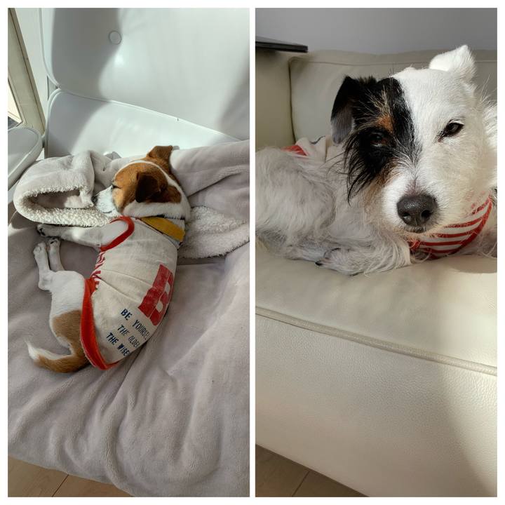 8de74d40 71bf 434b 8d09 007f4cc9f42b 1581483578949