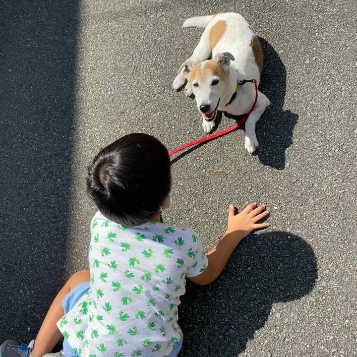 8de75186 8b8e 4947 a7c9 9a9d832c6349 1600675294233