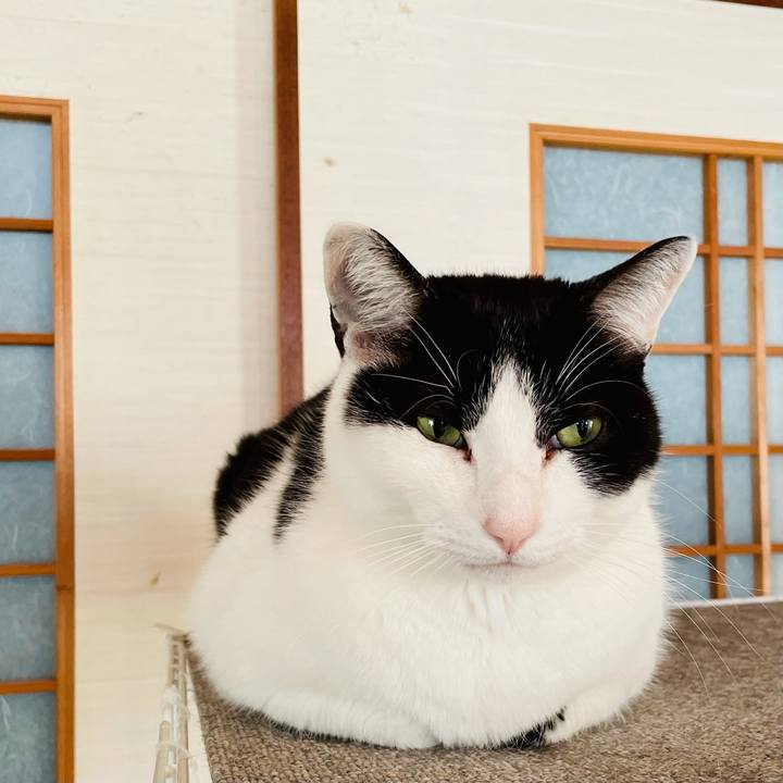 8de7ac79 a6eb 4639 ba45 aad1dcadba41 1617243157738