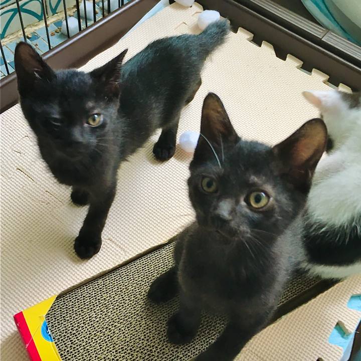 8de7b2f4 469a 4dff 94ba 1d5fbe492309 1626001250786