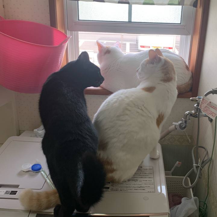 8de7d94e b45f 4e61 9a56 d772210fd097 1632008547515