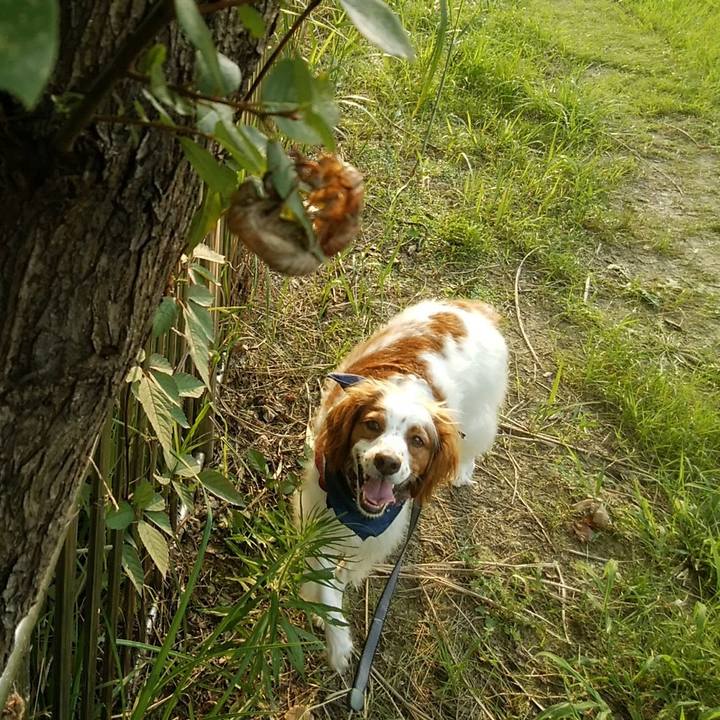 8de7e00f 6e97 4f7d 8d19 83ed5a9db429 1564659682426