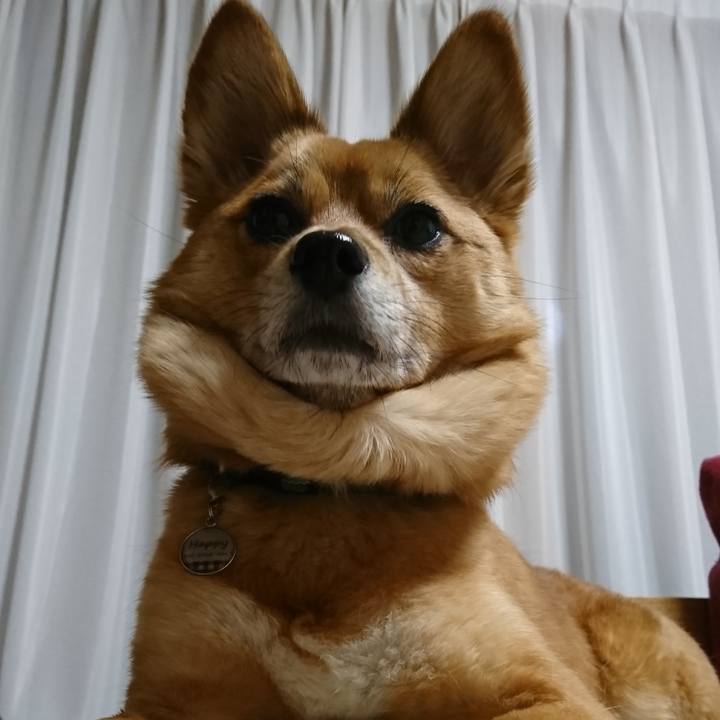 8de7e7e2 2a78 489b bee7 0bb2739a4923 1553601720711