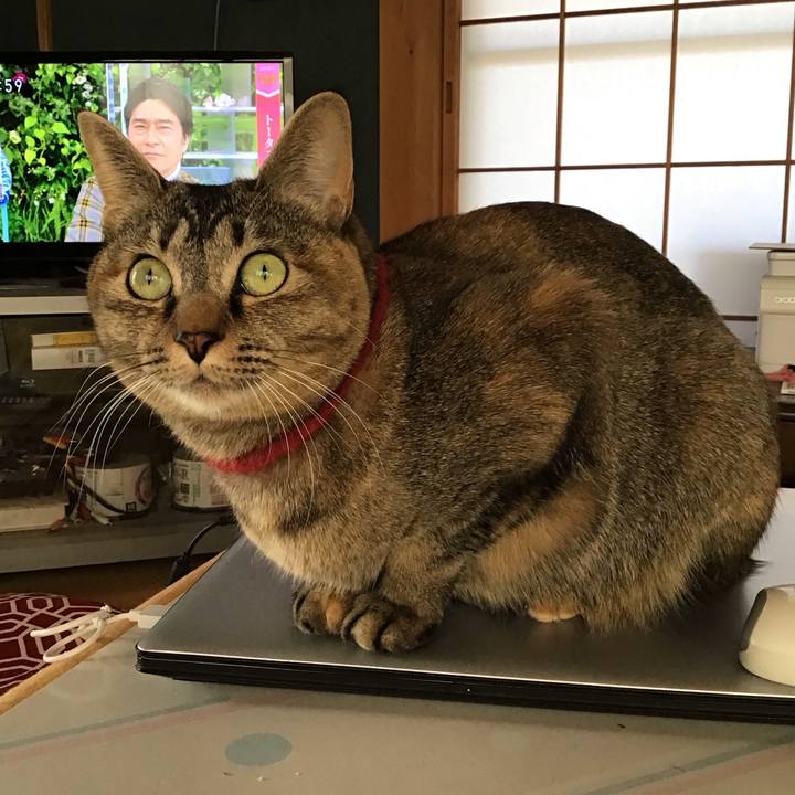 8de8194a 6bae 4972 a04e e2f8c2620ec8 1611878819059