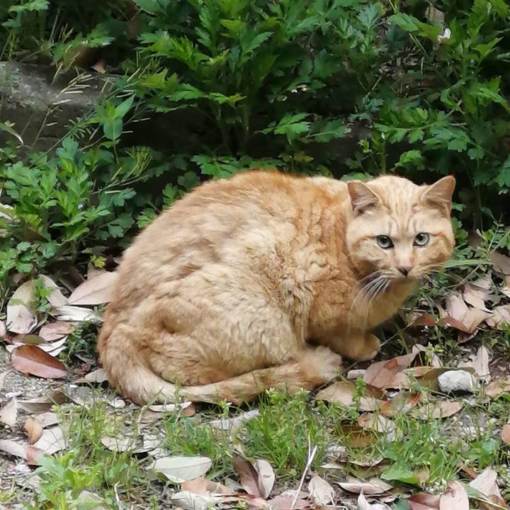 8de820cf 7dc1 4f9b b732 86608697ece1 1650316177618