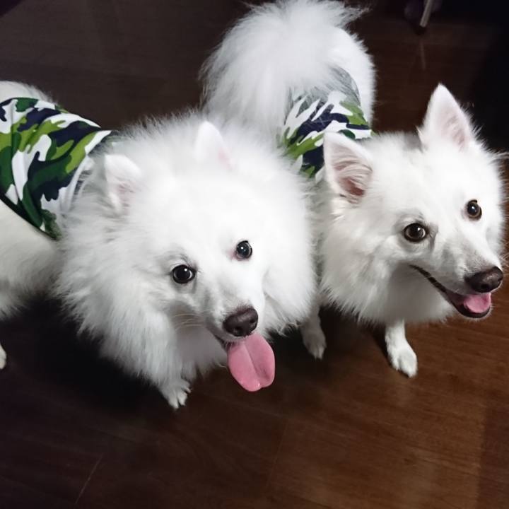 8de84f0f 538e 459c 9e70 6d2d420b6af2 1563964044046