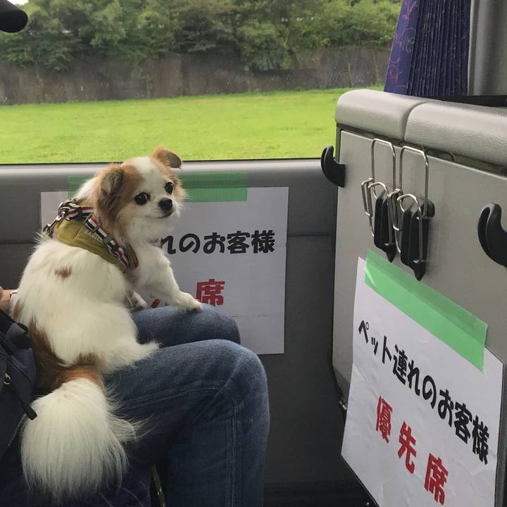 8de85ffa 85aa 4073 afa2 e0bdd80a0fa3 1566024540545