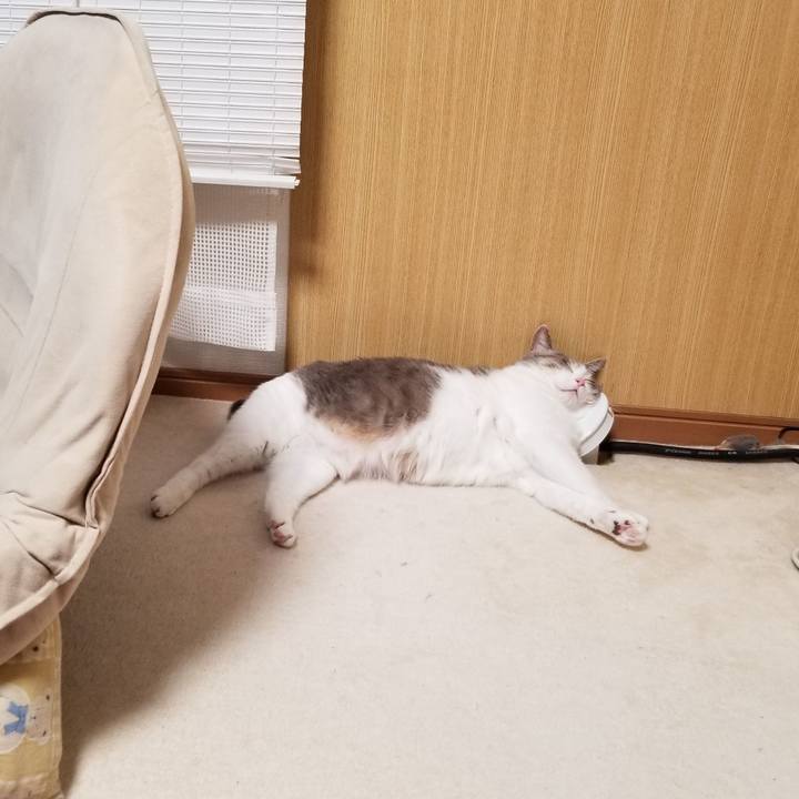 8de8a719 96d4 4893 b554 70bffc637626 1641820757558